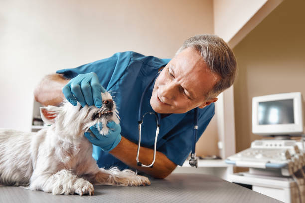Best Dentist for Dental Trauma  in Teague, TX